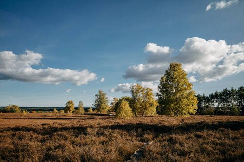 NPH 2025 Herbst Natur 0048 web