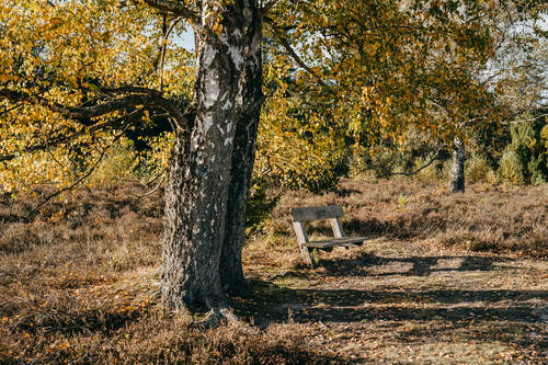 NPH 2025 Herbst Natur 0536 web