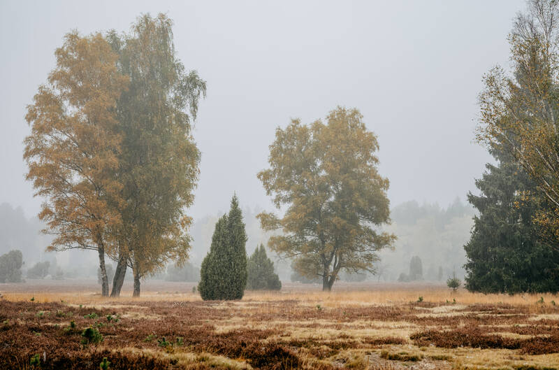 media/47ced4d8-c155-456d-b8b3-92778117c436.jpg?w=1500