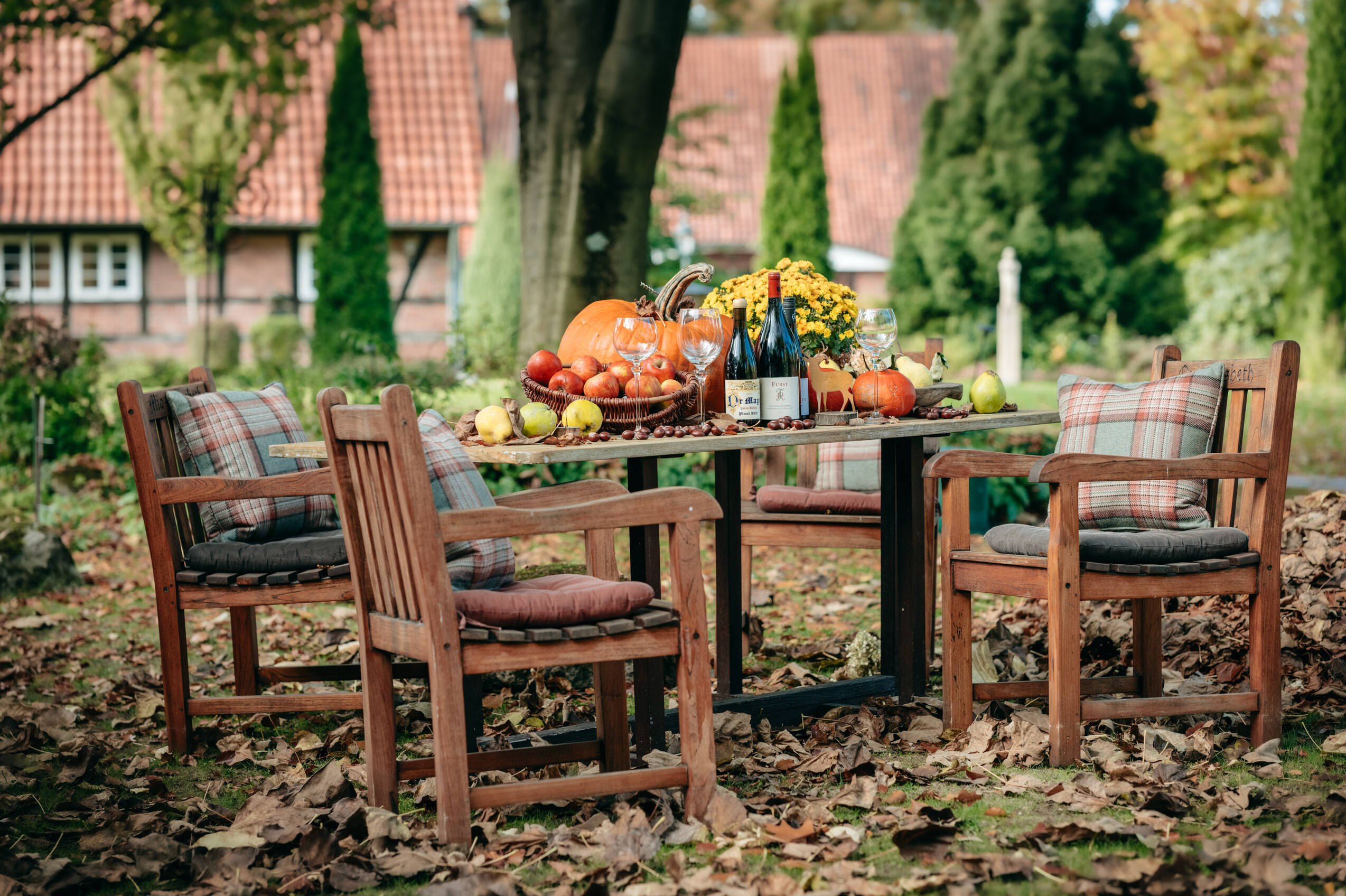 NPH 2025 Herbst Garten 015 web