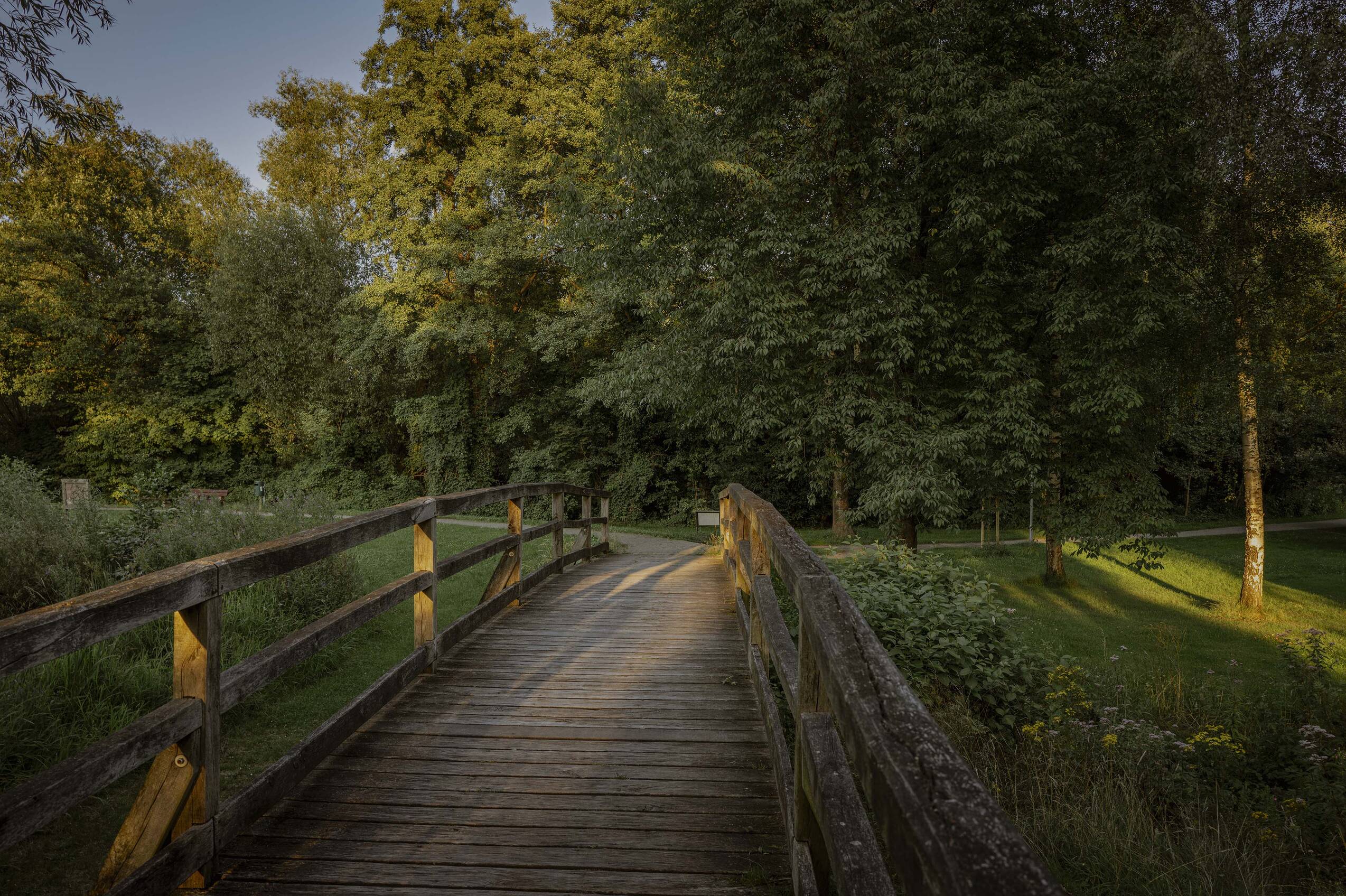 NRP Landschaft See Brücke high