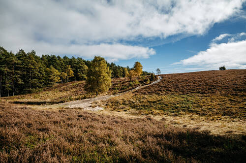 NPH 2025 Herbst Natur 0447 web