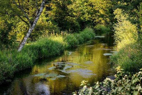 NRP Landschaft Örtze web