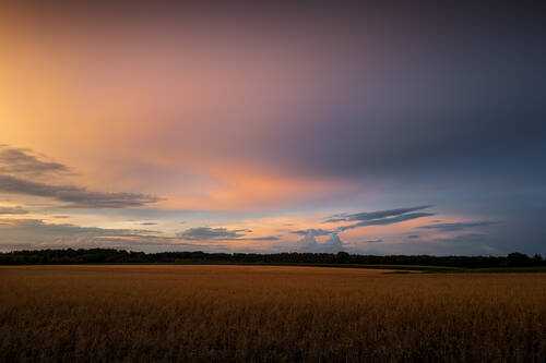 NRP Landschaft web