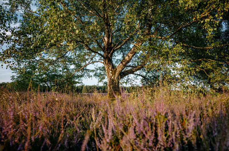 media/d975ea95-f362-43a5-8585-ab196789c9d9.jpg?w=1500