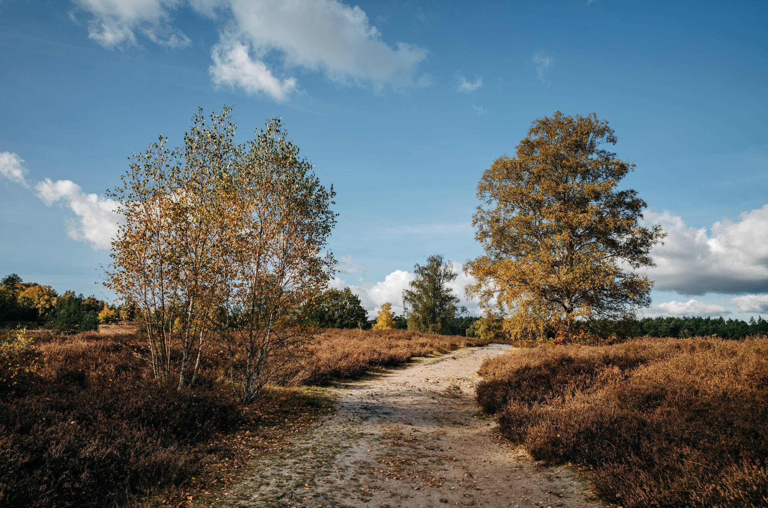 NPH 2025 Herbst Natur 0004 web