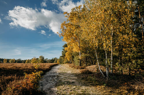 NPH 2025 Herbst Natur 0130 web